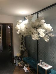 -韩静美科技护肤抗衰中心