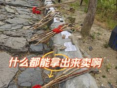 -阳台山自然风景区