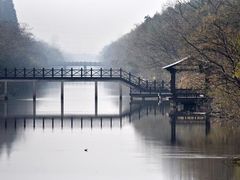 -黄海国家森林公园