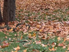 -河南省黄河迎宾馆