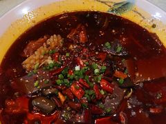 毛血旺-上庄晋风庄园(上庄店)