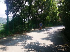 -雨花胜境
