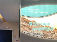 -武汉大学附属爱尔眼科医院(湖北总院)