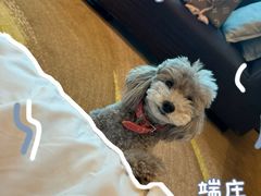 -天津东凯悦酒店