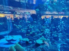 -成都浩海立方海洋公园