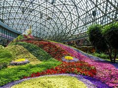 -花之城