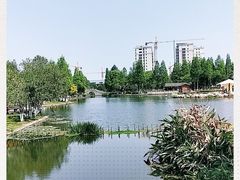 -河泥荡文化公园