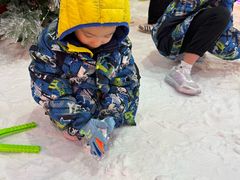 -世界之窗阿尔卑斯冰雪世界