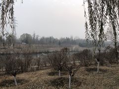 -石榴庄公园