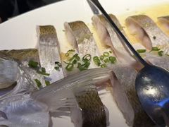 -鸽子侯·家宴·平价海鲜(市图书馆店)