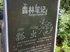-云峰山自然风景区