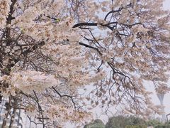 -红星桥(地铁站)