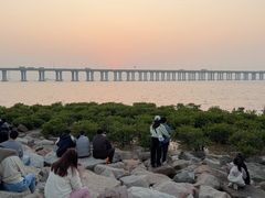 -宝安西湾红树林湿地公园