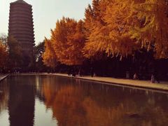 -玲珑塔公园