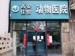 -佳怡动物医院·平价24小时·猫专科骨外科