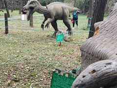 -原山国家森林公园