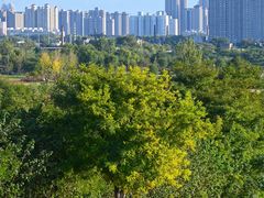 -汉长安城未央宫国家考古遗址公园