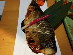 盐烤青花鱼-文三酒肆自助放题(新街口友谊广场店)