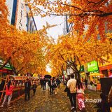 永盛新开的一家咖啡店