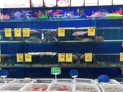 水产区-大厝宅海鲜馆