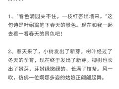 -北京市府学胡同小学