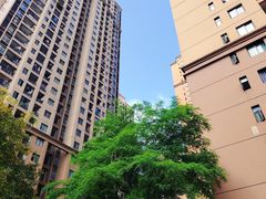 -美丽·阳光家园