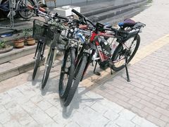 -道路口单车爱瓦士dahon大行