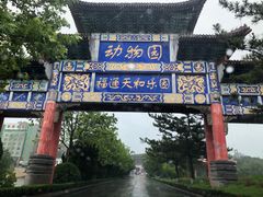 -西霞口神雕山野生动物世界