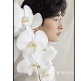 可爱子 一场植物展拍出日杂感婚纱照