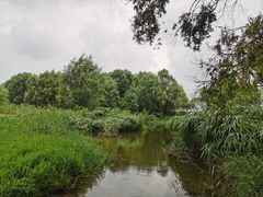 -灞河西岸滨河公园
