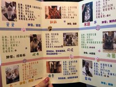 -三花喵·撸猫购宠·宠物生活馆(虹桥南丰城店)