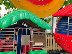 -南宫五洲植物乐园