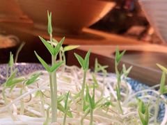 -比格比萨自助(德思勤四季汇店)