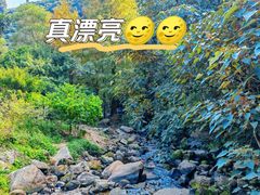 -马峦山郊野公园
