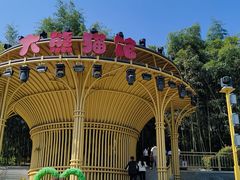-栾川竹海野生动物园