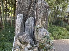-上海醉白池公园