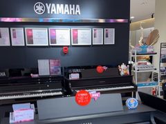 -雅歌音乐培训中心·钢琴培训·乐器培训(交道口店)