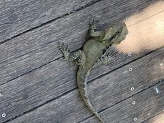 -可伦宾野生动物保护区
