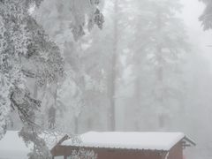 -瓦屋山景区