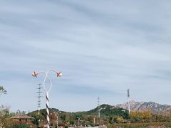-西海岸生态观光园