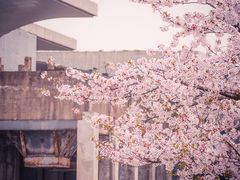 -龙美术馆(西岸馆)