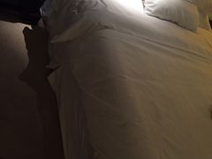 -广交会威斯汀酒店