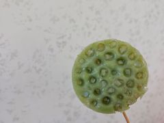 蓬蓬莲丫-元氏钵仔糕(北京路店)