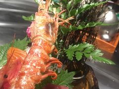 -仙桐吉宴铁板烧·精致料理