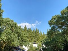 -杭州少年儿童公园