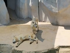 -秦皇岛乐岛海洋王国