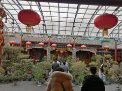 -白家大院·王府宫廷菜(苏州街店)