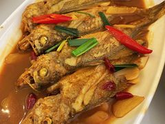 清蒸本地大黄鱼-舌尖上·霞浦滩涂海鲜·新闽菜(总店)