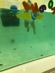 -爱乐婴童水育早教中心·儿童游泳中心(田园商业广场店)