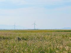-野鸭湖国家湿地公园